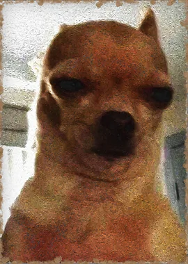 thawhleh thil tih sual